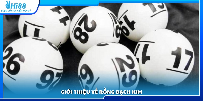 Tìm hiểu khái quát về công cụ soi cầu rồng bạch Kim